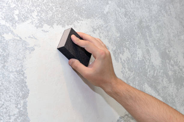 Best Comprehensive Air Testing for Mold Contaminants  in Elk Grove Vlage, IL
