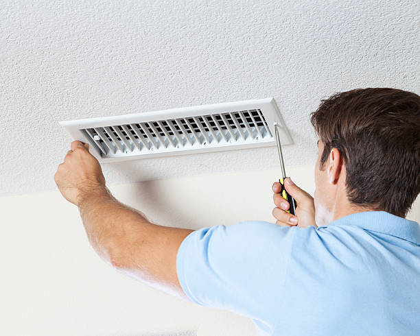 Best Mold Damage Restoration  in Elk Grove Vlage, IL