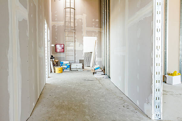 Best Water Damage & Mold Remediation  in Elk Grove Vlage, IL