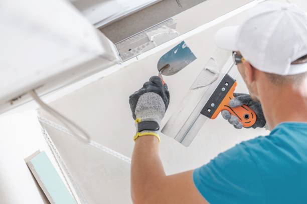 Forensic Mold Investigation in Elk Grove Village, IL